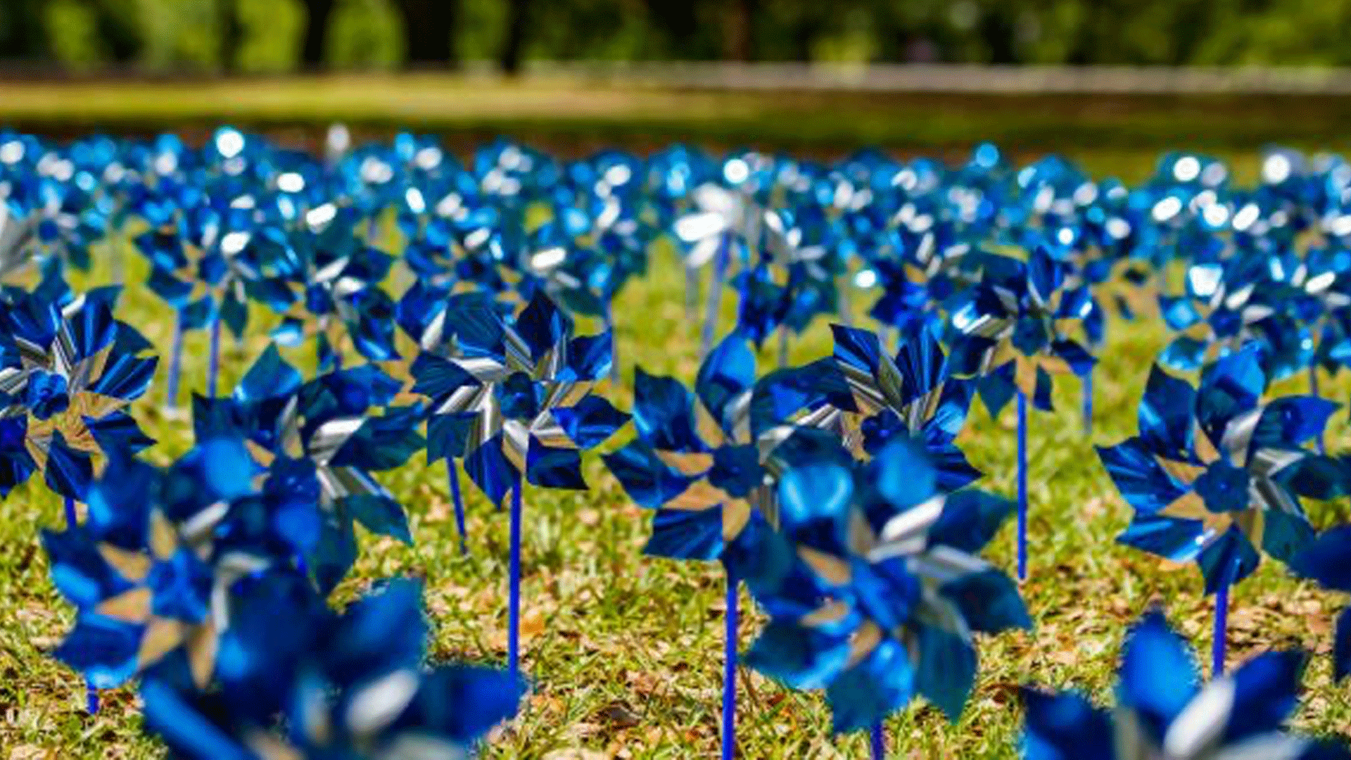 History of Child Abuse Prevention
