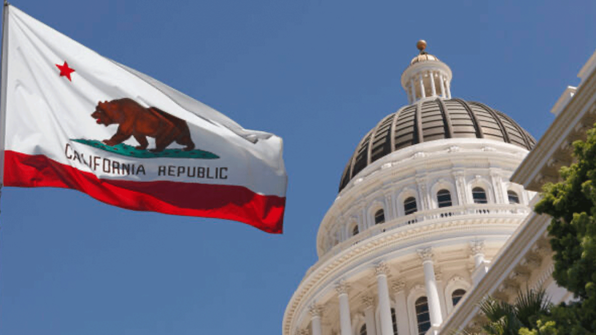 Legislative Changes Impact Screening