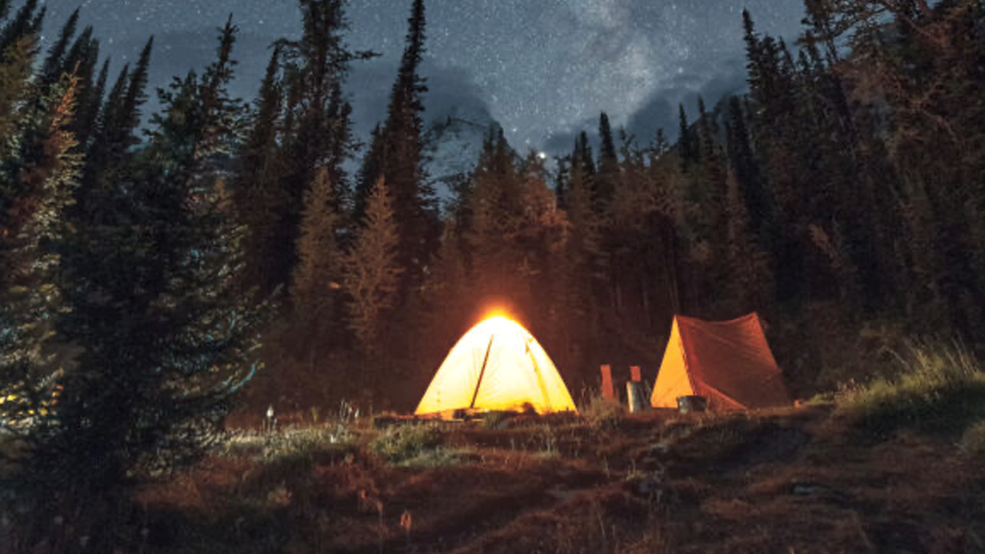Summer Camp Safety: Essential Abuse Prevention Strategies for Youth Programs